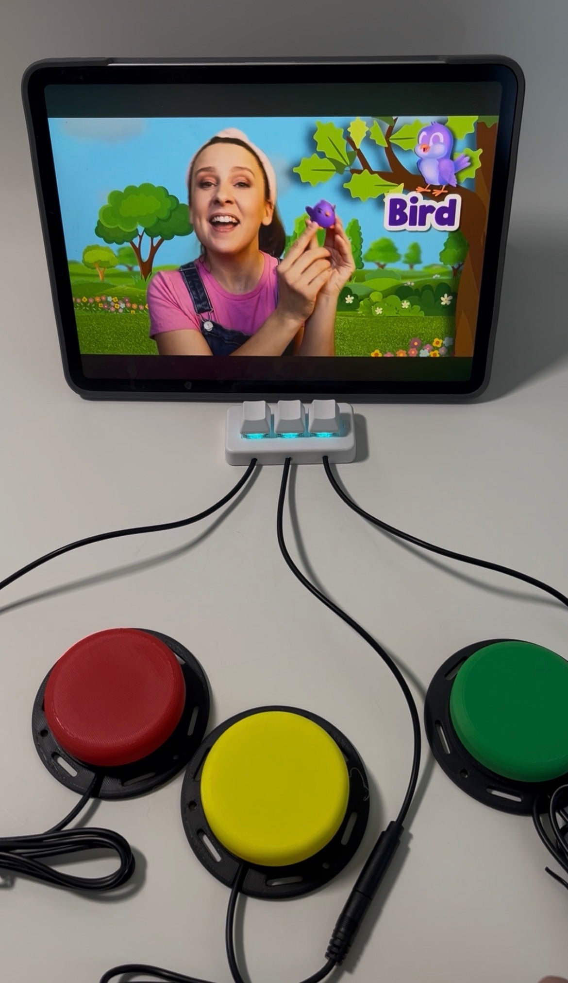 True Play SwitchDock